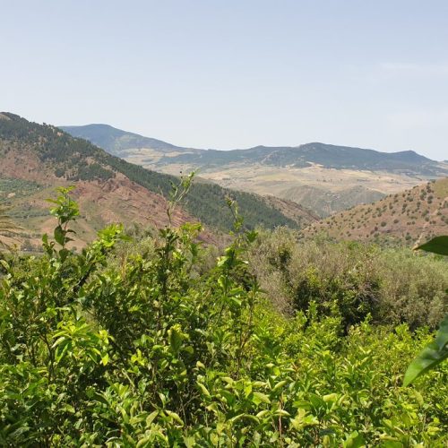 photo1656401117